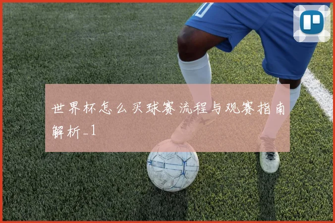 世界杯怎么买球赛流程与观赛指南解析_1
