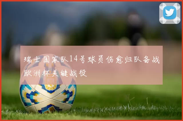 瑞士国家队14号球员伤愈归队备战欧洲杯关键战役