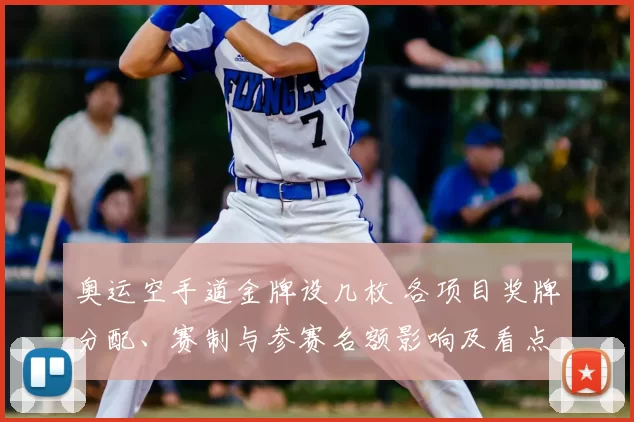 奥运空手道金牌设几枚 各项目奖牌分配、赛制与参赛名额影响及看点