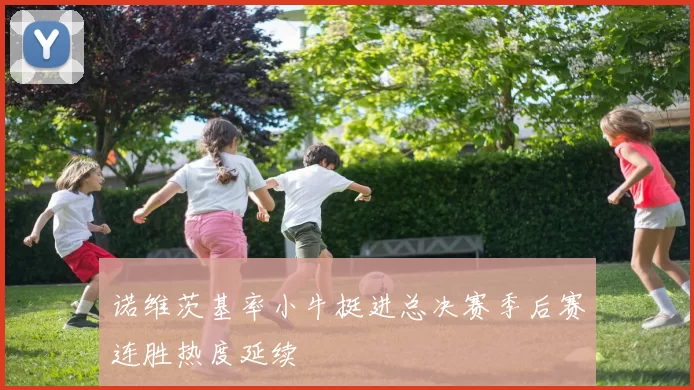 诺维茨基率小牛挺进总决赛季后赛连胜热度延续