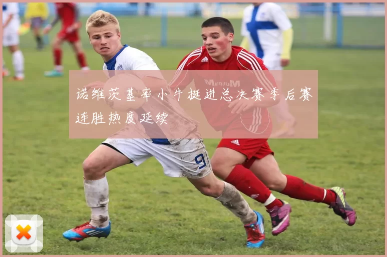 诺维茨基率小牛挺进总决赛季后赛连胜热度延续