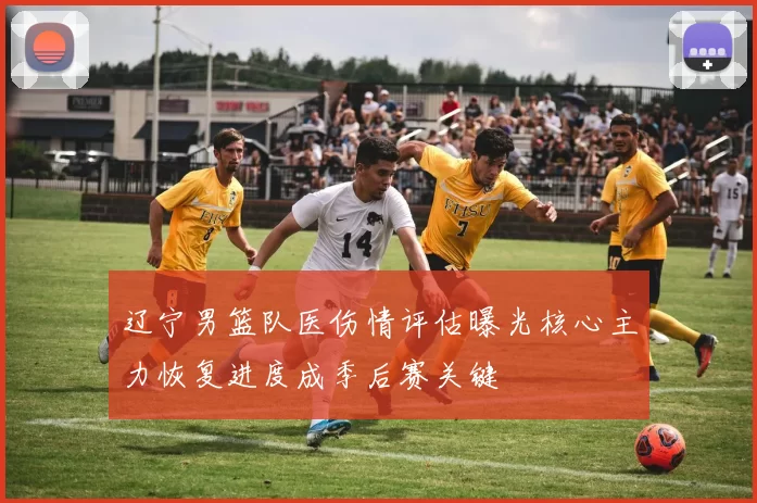 辽宁男篮队医伤情评估曝光核心主力恢复进度成季后赛关键