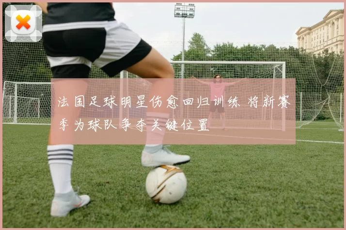 法国足球明星伤愈回归训练 将新赛季为球队争夺关键位置