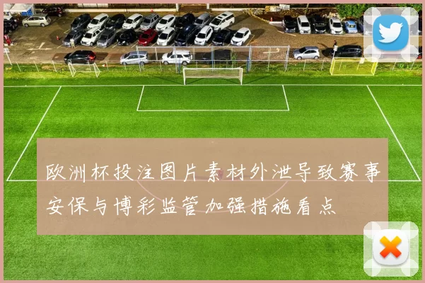 欧洲杯投注图片素材外泄导致赛事安保与博彩监管加强措施看点
