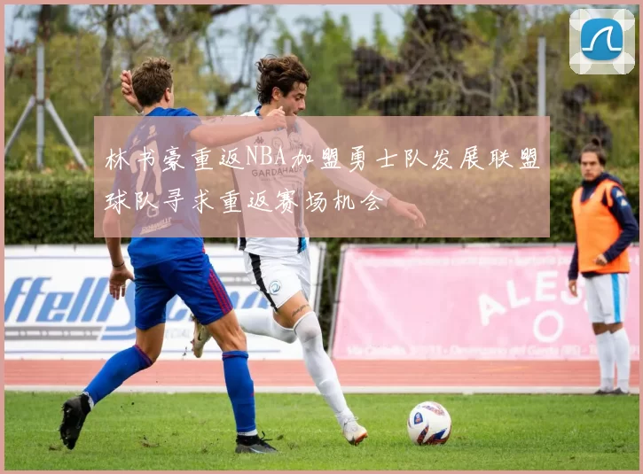 林书豪重返NBA加盟勇士队发展联盟球队寻求重返赛场机会